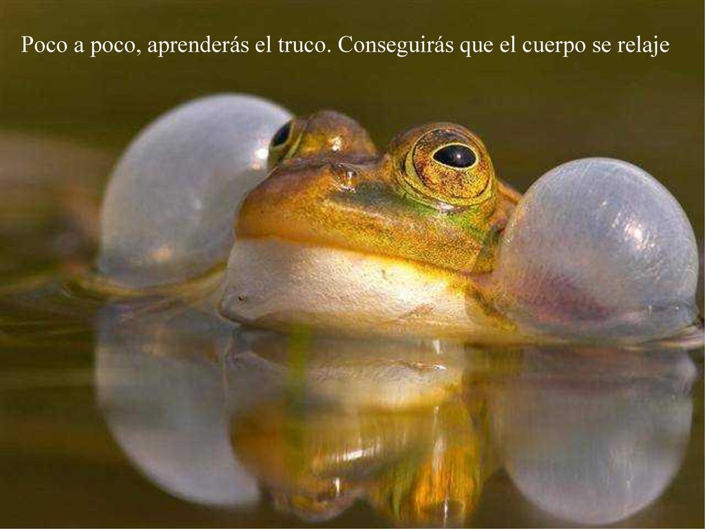 Poco a poco, aprenderás el truco. Conseguirás que el cuerpo se relaje