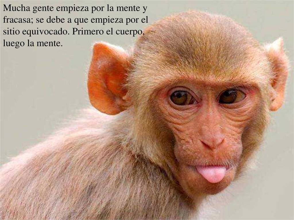 Mucha gente empieza por la mente y fracasa; se debe a que empieza por el sitio equivocado.
