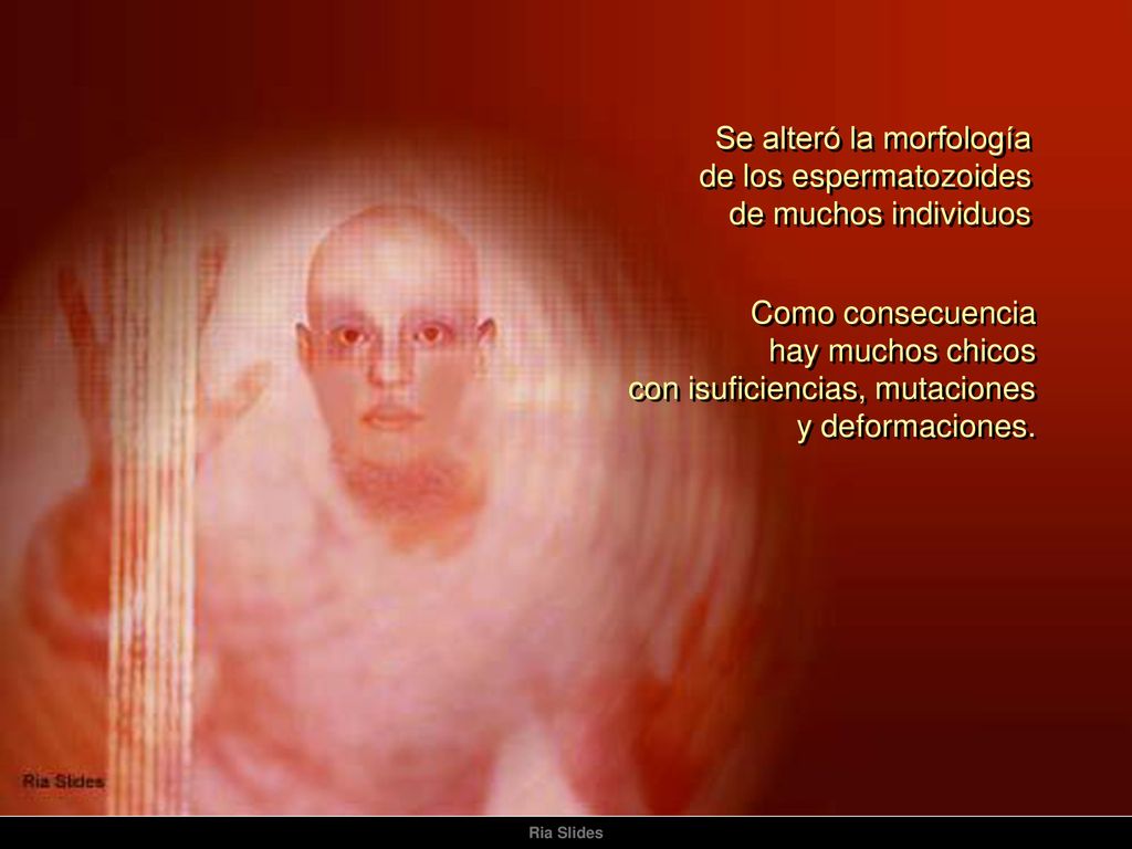 Se alteró la morfología de los espermatozoides de muchos individuos