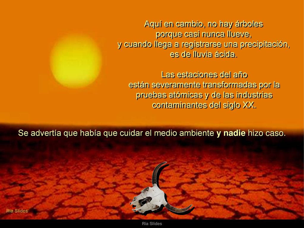 Aquí en cambio, no hay árboles porque casi nunca llueve,