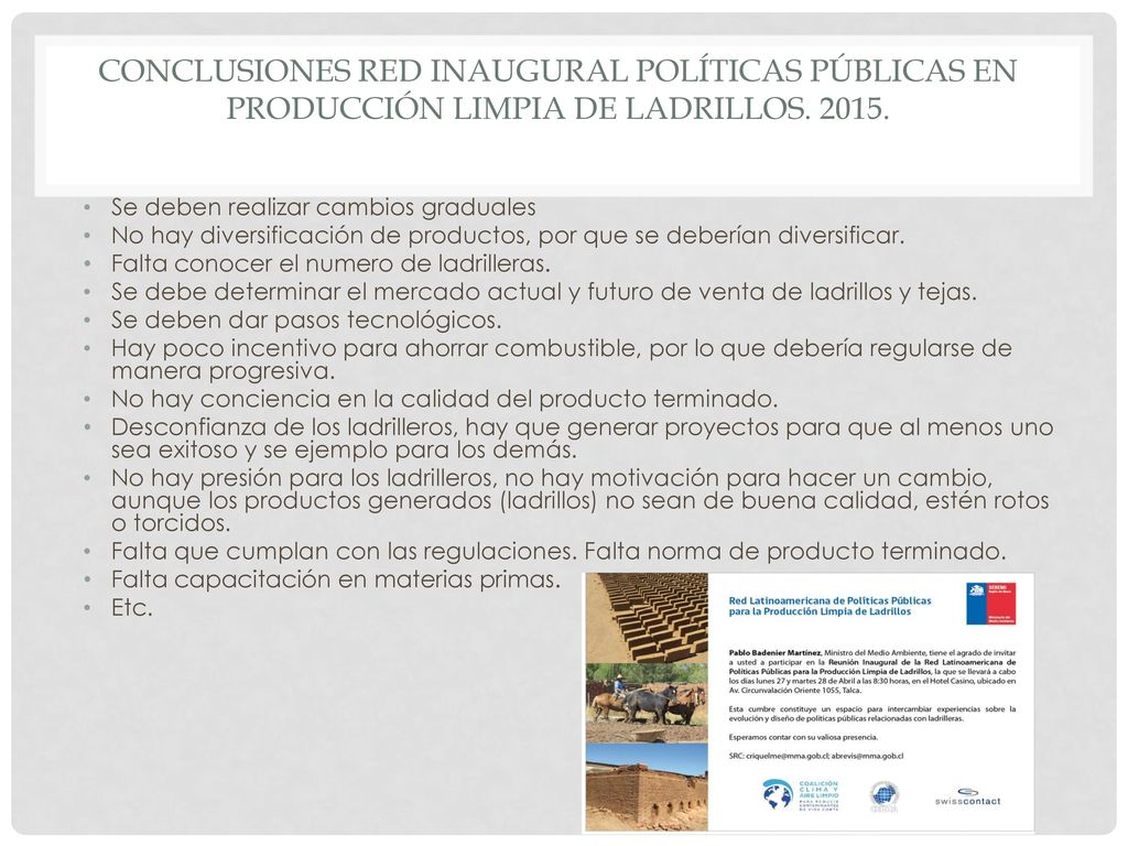 Conclusiones Red Inaugural Políticas Públicas en Producción Limpia de Ladrillos