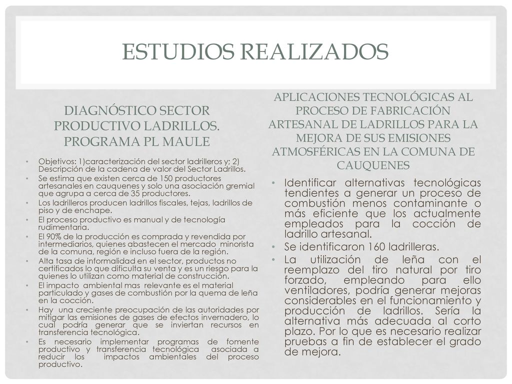 Diagnóstico Sector productivo ladrillos. Programa PL Maule