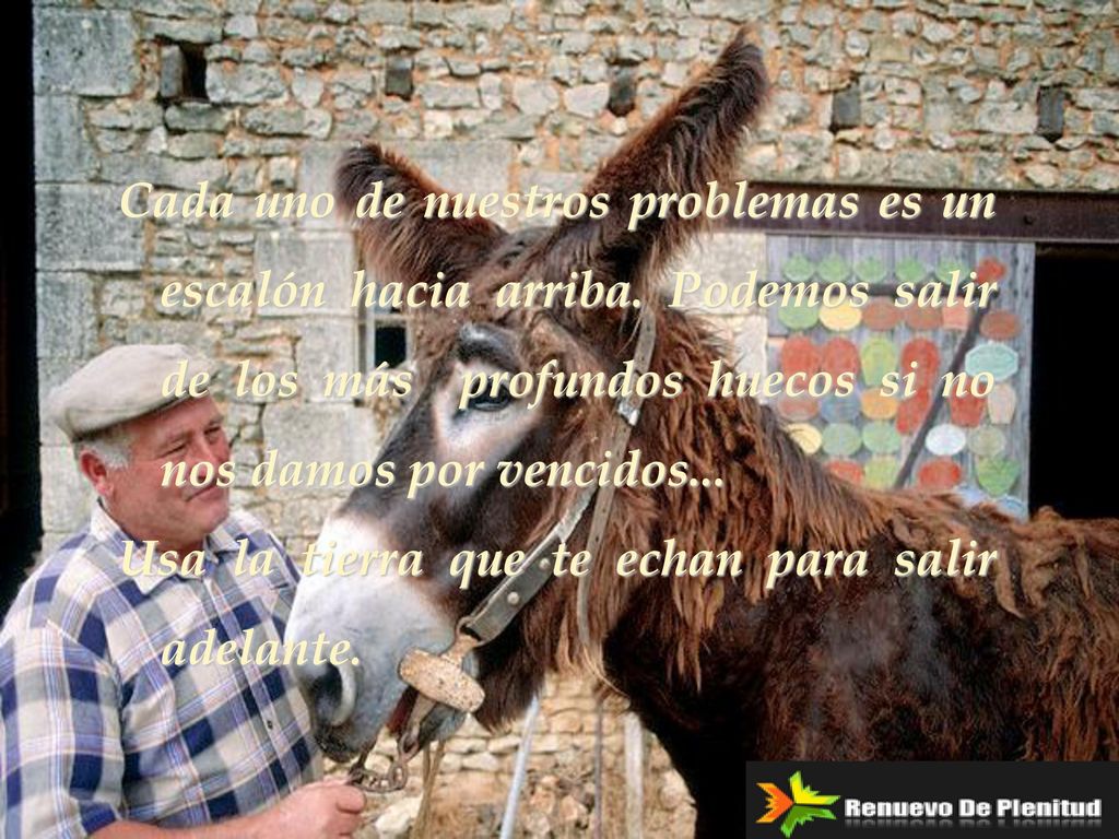 Cada uno de nuestros problemas es un escalón hacia arriba