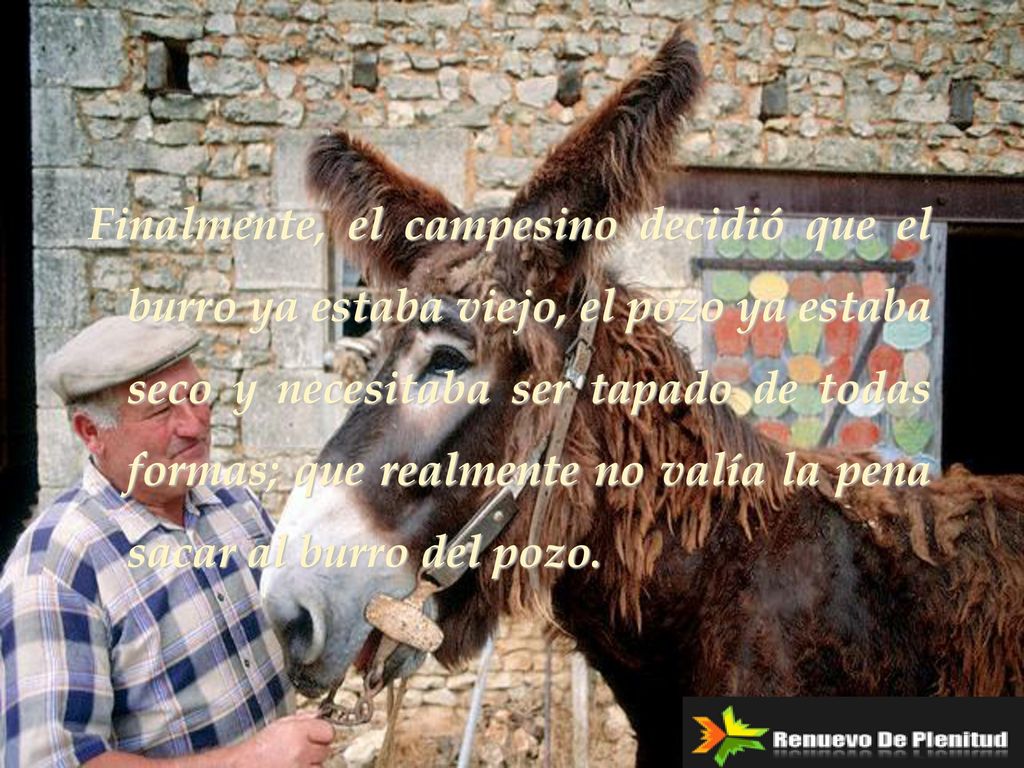 Finalmente, el campesino decidió que el burro ya estaba viejo, el pozo ya estaba seco y necesitaba ser tapado de todas formas; que realmente no valía la pena sacar al burro del pozo.