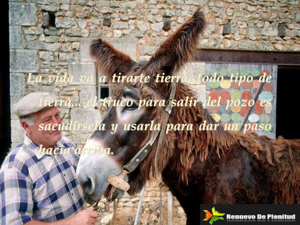 La vida va a tirarte tierra, todo tipo de tierra