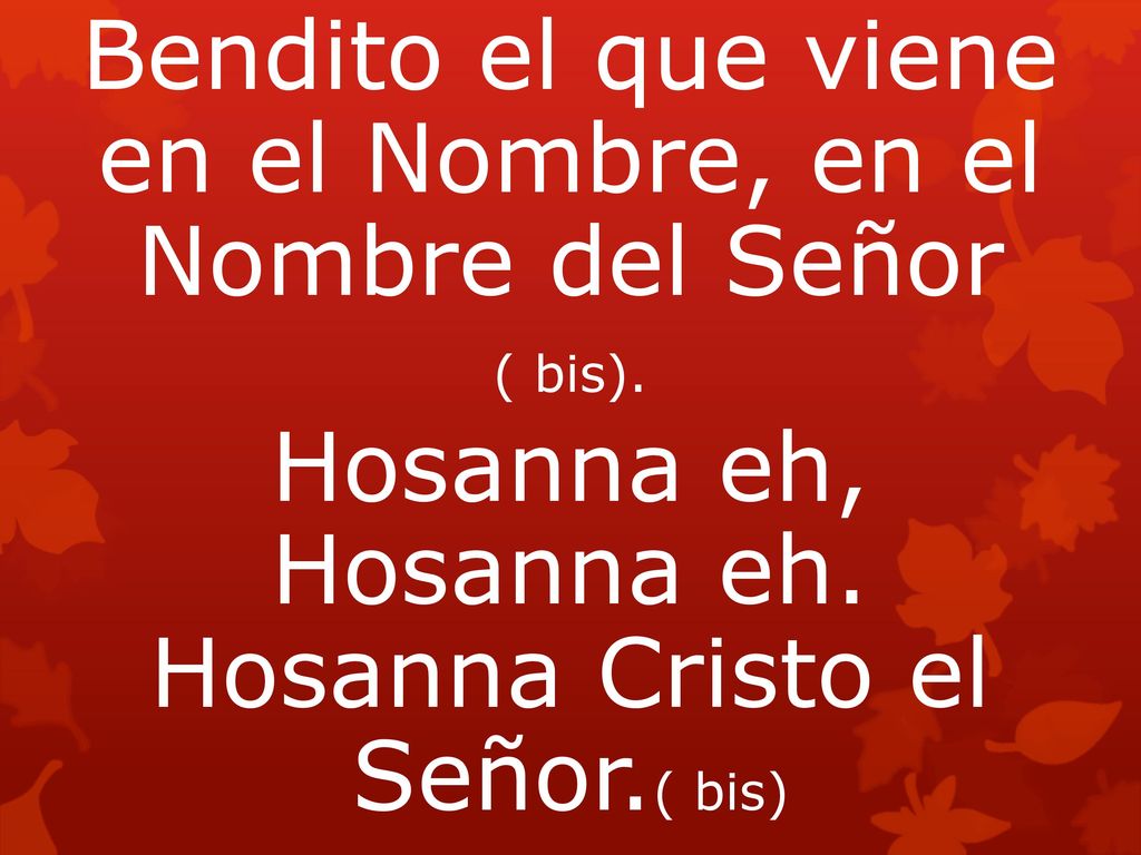 Bendito el que viene en el Nombre, en el Nombre del Señor