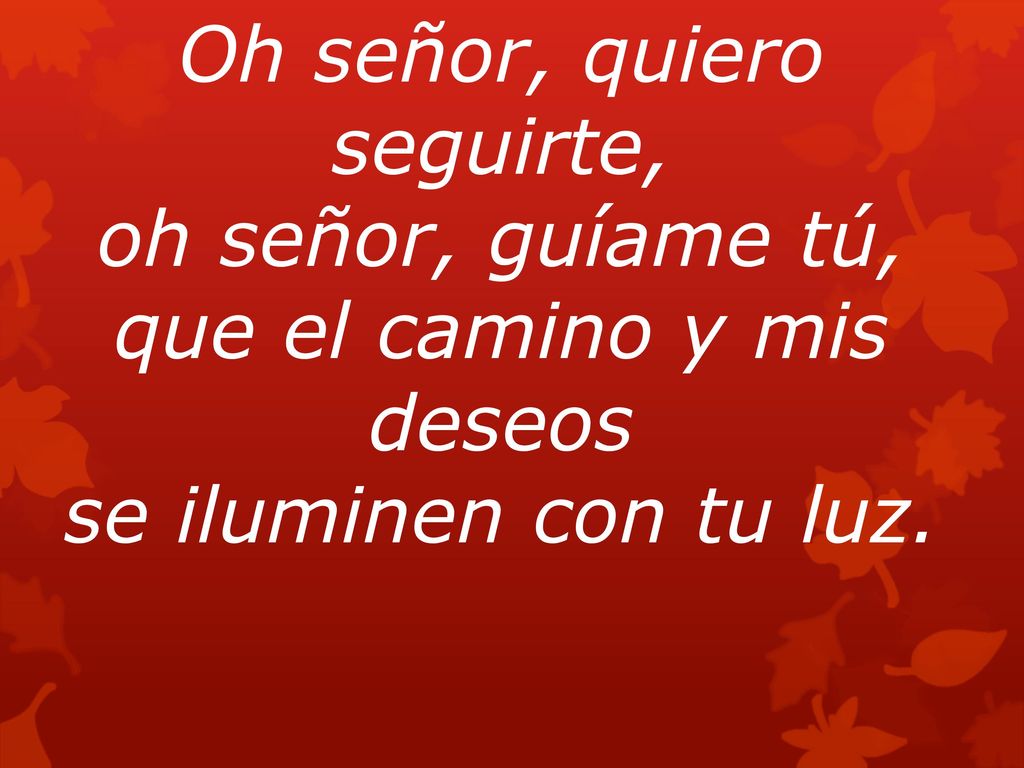Oh señor, quiero seguirte, oh señor, guíame tú, que el camino y mis deseos se iluminen con tu luz.