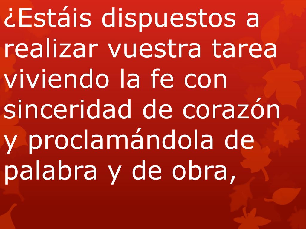 ¿Estáis dispuestos a realizar vuestra tarea viviendo la fe con sinceridad de corazón y proclamándola de palabra y de obra,