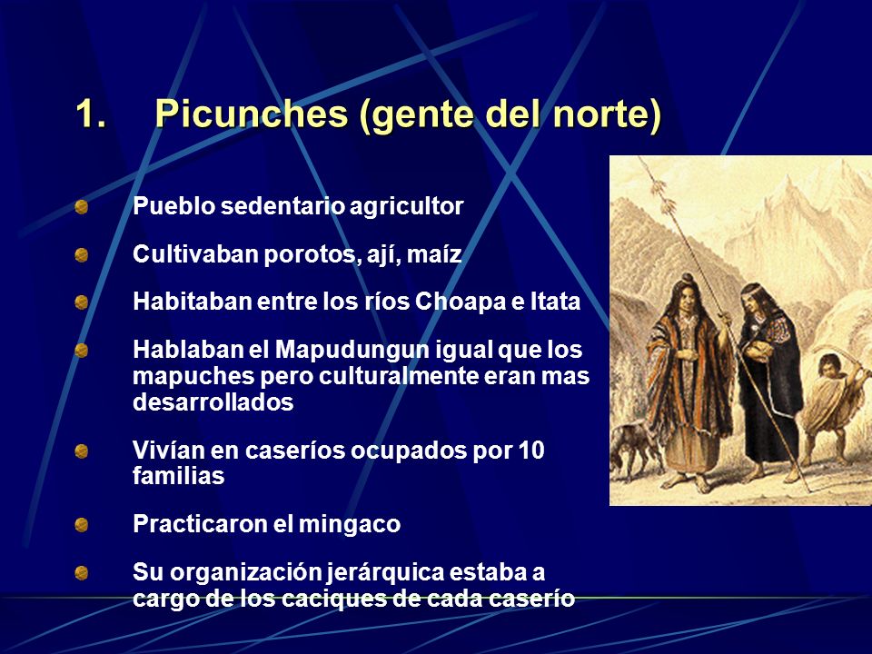 Picunches (gente del norte)