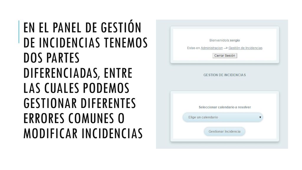 En el panel de gestión de incidencias tenemos dos partes diferenciadas, entre las cuales podemos gestionar diferentes errores comunes o modificar incidencias