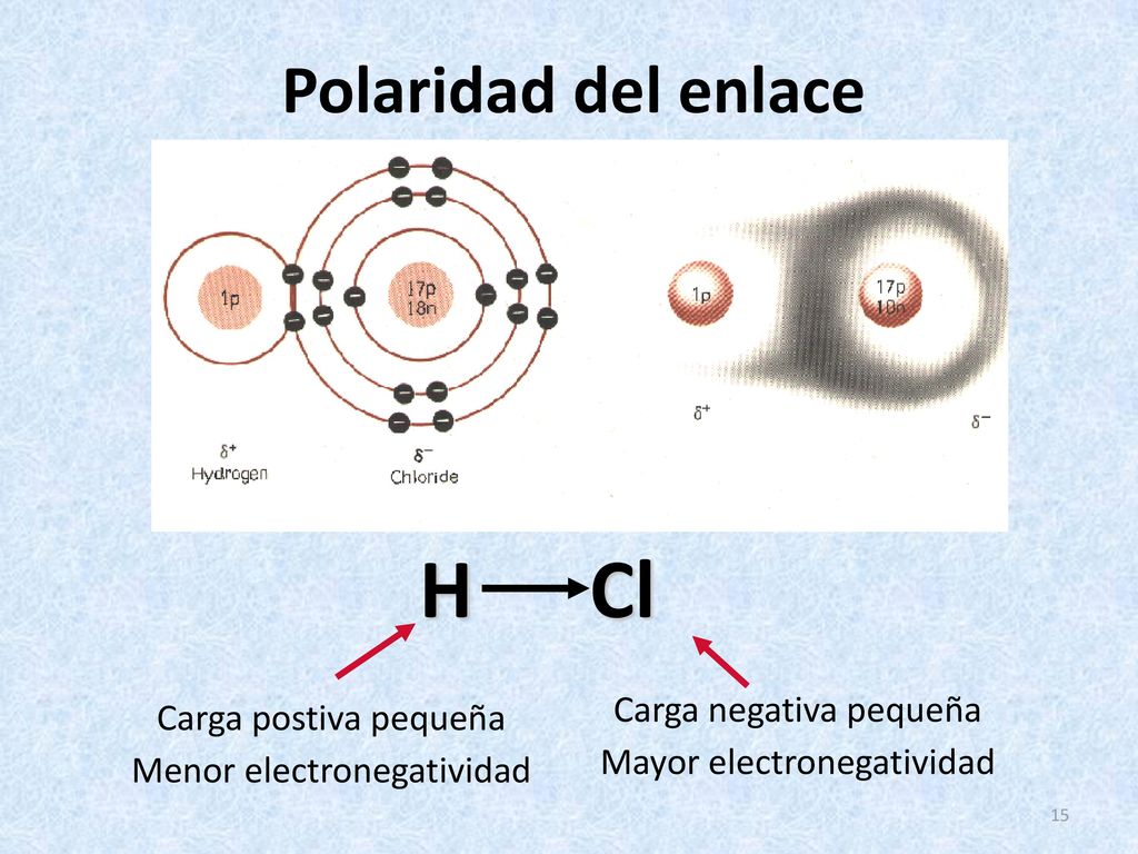H Cl Polaridad del enlace Polarity of bonds Carga negativa pequeña