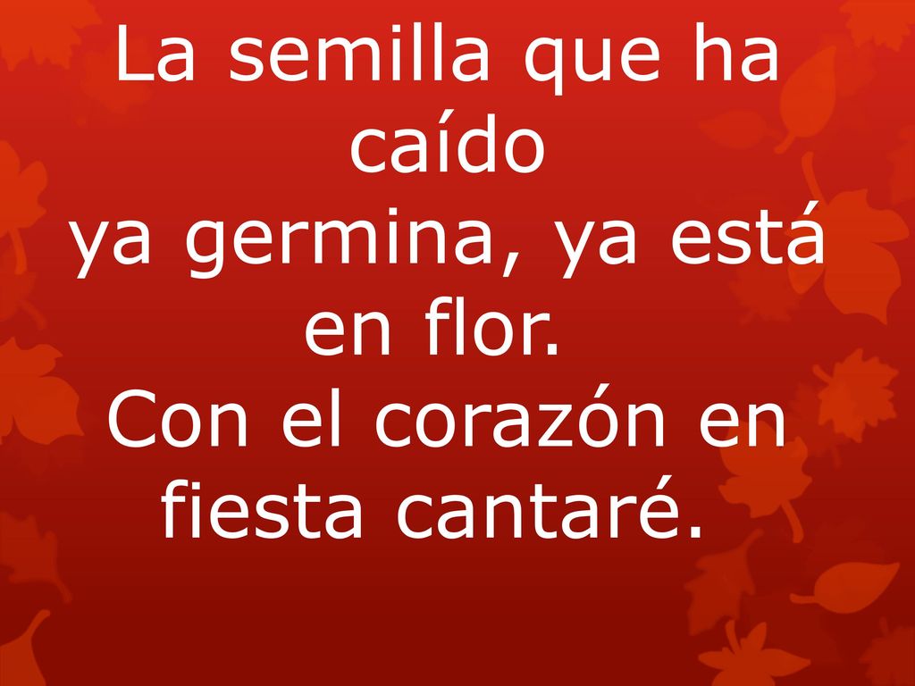 ya germina, ya está en flor. Con el corazón en fiesta cantaré.