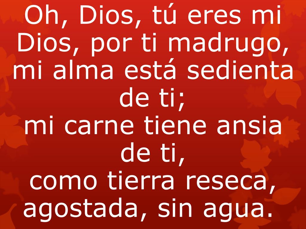 Oh, Dios, tú eres mi Dios, por ti madrugo, mi alma está sedienta de ti; mi carne tiene ansia de ti, como tierra reseca, agostada, sin agua.