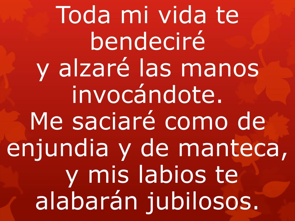 Toda mi vida te bendeciré y alzaré las manos invocándote
