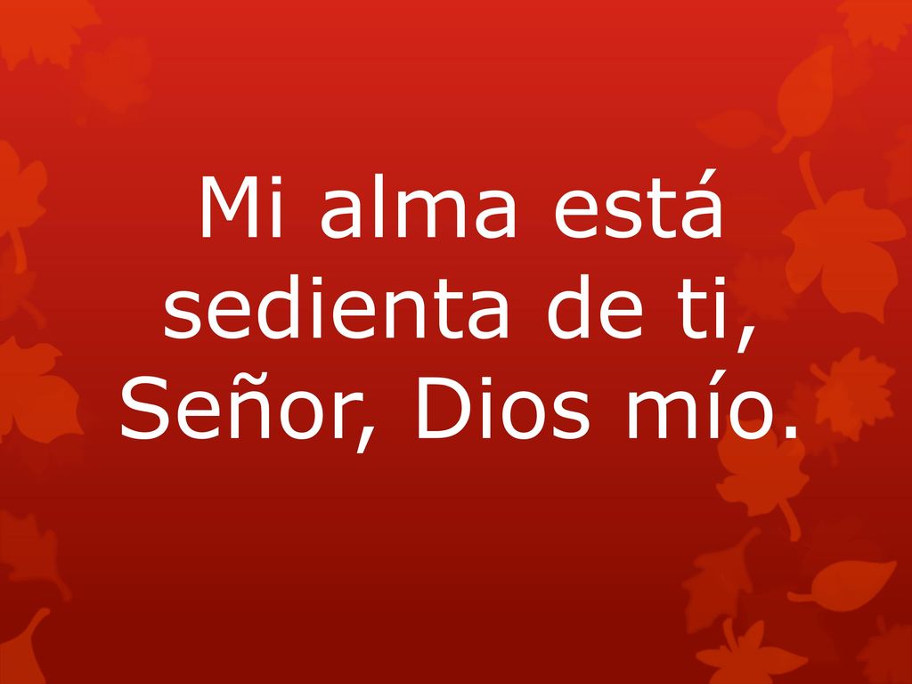 Mi alma está sedienta de ti, Señor, Dios mío.