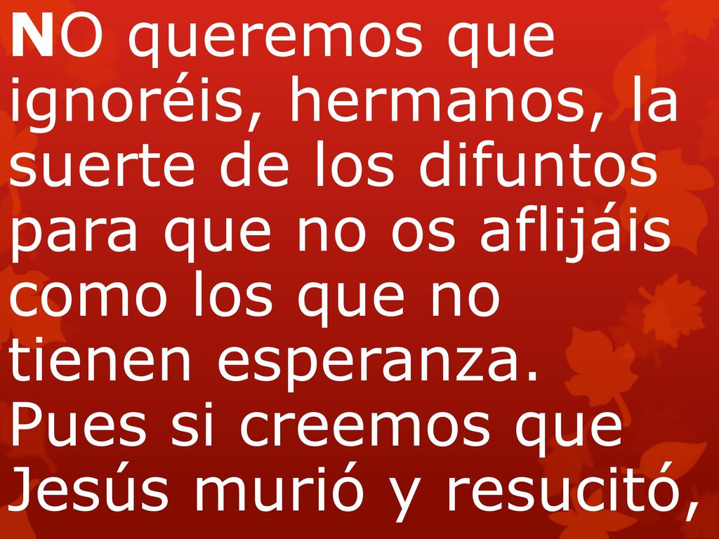 NO queremos que ignoréis, hermanos, la suerte de los difuntos para que no os aflijáis como los que no tienen esperanza. Pues si creemos que Jesús murió y resucitó,
