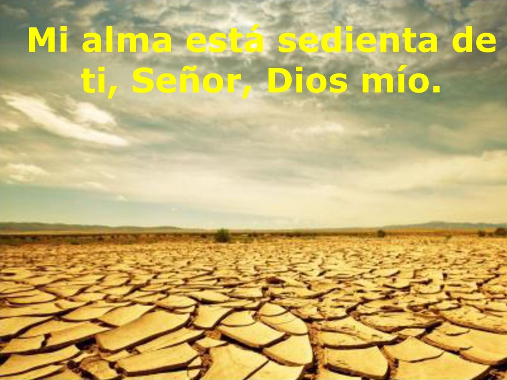 Mi alma está sedienta de ti, Señor, Dios mío.