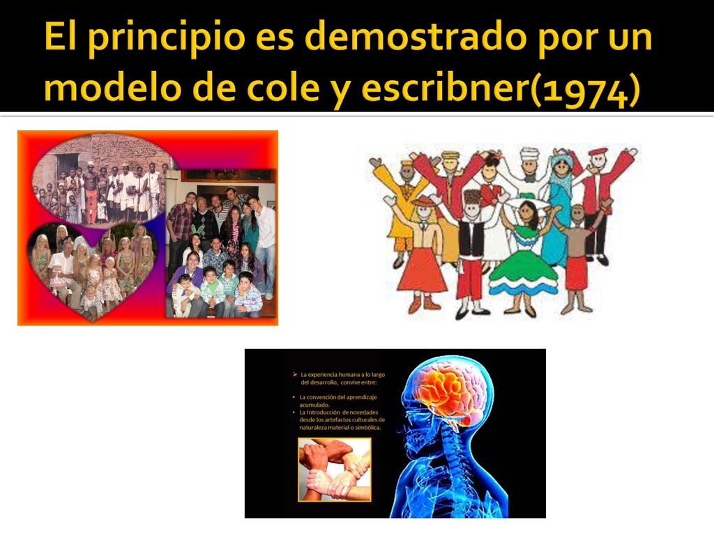 El principio es demostrado por un modelo de cole y escribner(1974)