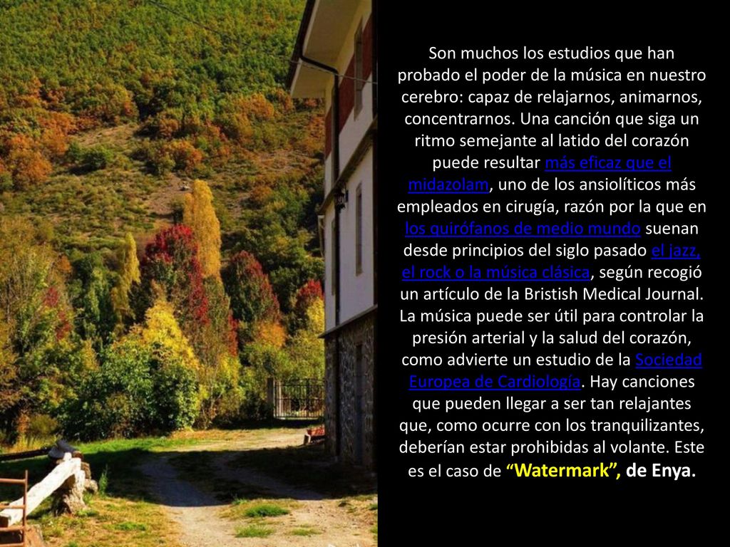 Son muchos los estudios que han probado el poder de la música en nuestro cerebro: capaz de relajarnos, animarnos, concentrarnos. Una canción que siga un ritmo semejante al latido del corazón puede resultar más eficaz que el midazolam, uno de los ansiolíticos más empleados en cirugía, razón por la que en los quirófanos de medio mundo suenan desde principios del siglo pasado el jazz, el rock o la música clásica, según recogió un artículo de la Bristish Medical Journal.