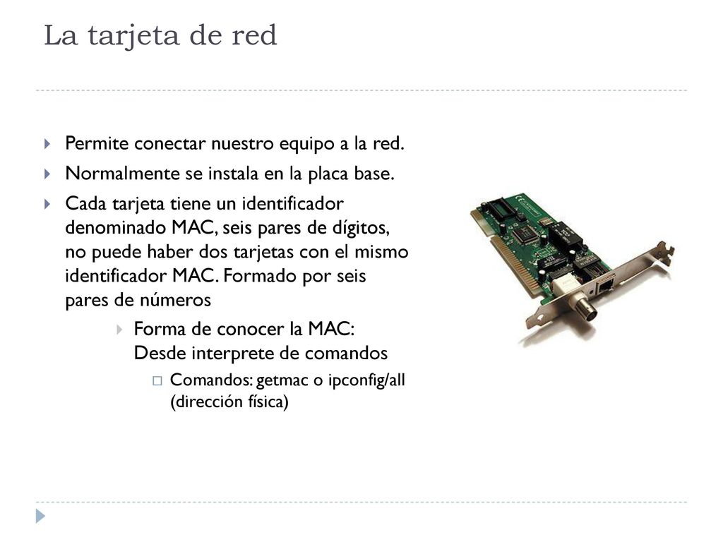 La tarjeta de red Permite conectar nuestro equipo a la red.