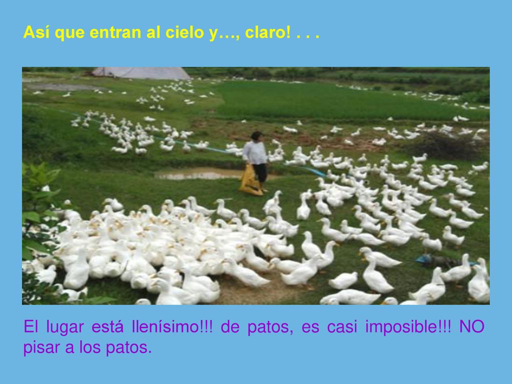 Así que entran al cielo y…, claro! . . .