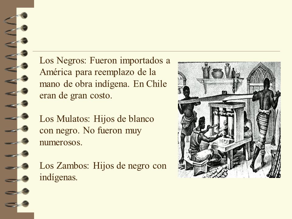 Los Negros: Fueron importados a América para reemplazo de la mano de obra indígena. En Chile eran de gran costo.