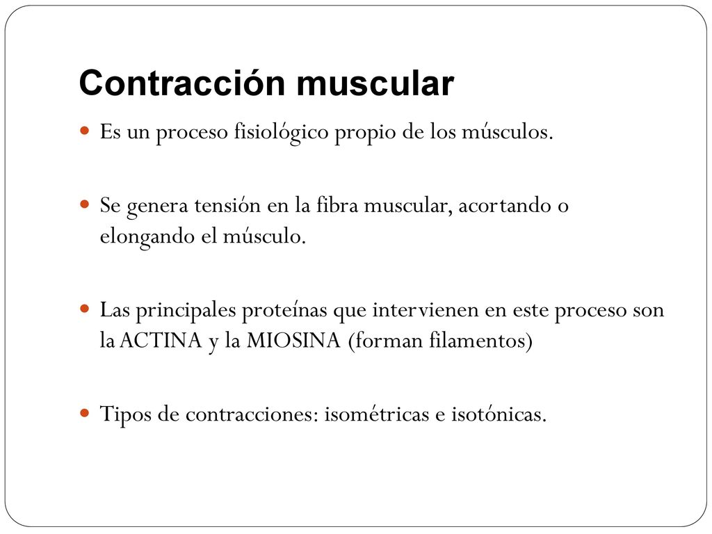 Contracción muscular Es un proceso fisiológico propio de los músculos.