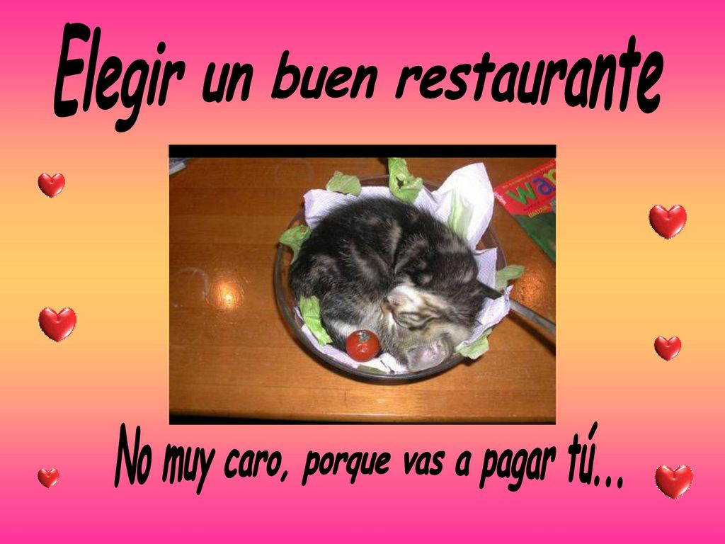 Elegir un buen restaurante No muy caro, porque vas a pagar tú...