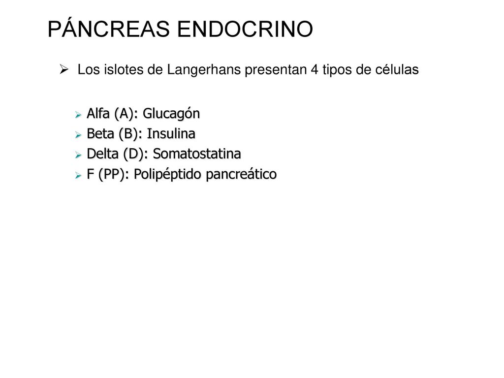 PÁNCREAS ENDOCRINO Los islotes de Langerhans presentan 4 tipos de células. Alfa (A): Glucagón. Beta (B): Insulina.