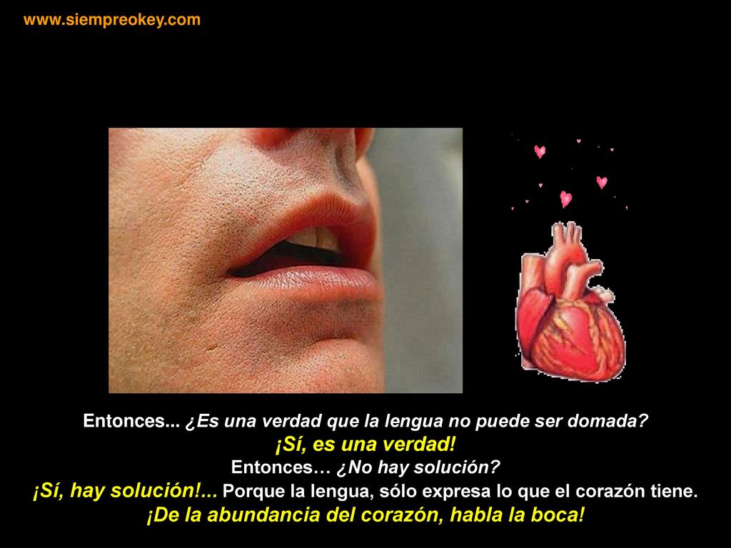 ¡De la abundancia del corazón, habla la boca!