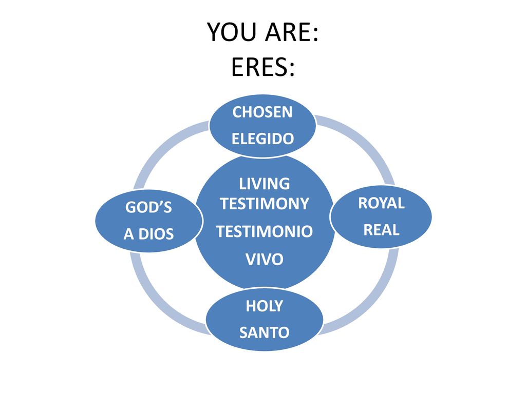 YOU ARE: ERES: LIVING TESTIMONY TESTIMONIO VIVO CHOSEN ELEGIDO ROYAL