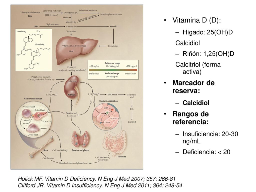 Vitamina D (D): Marcador de reserva: Rangos de referencia: