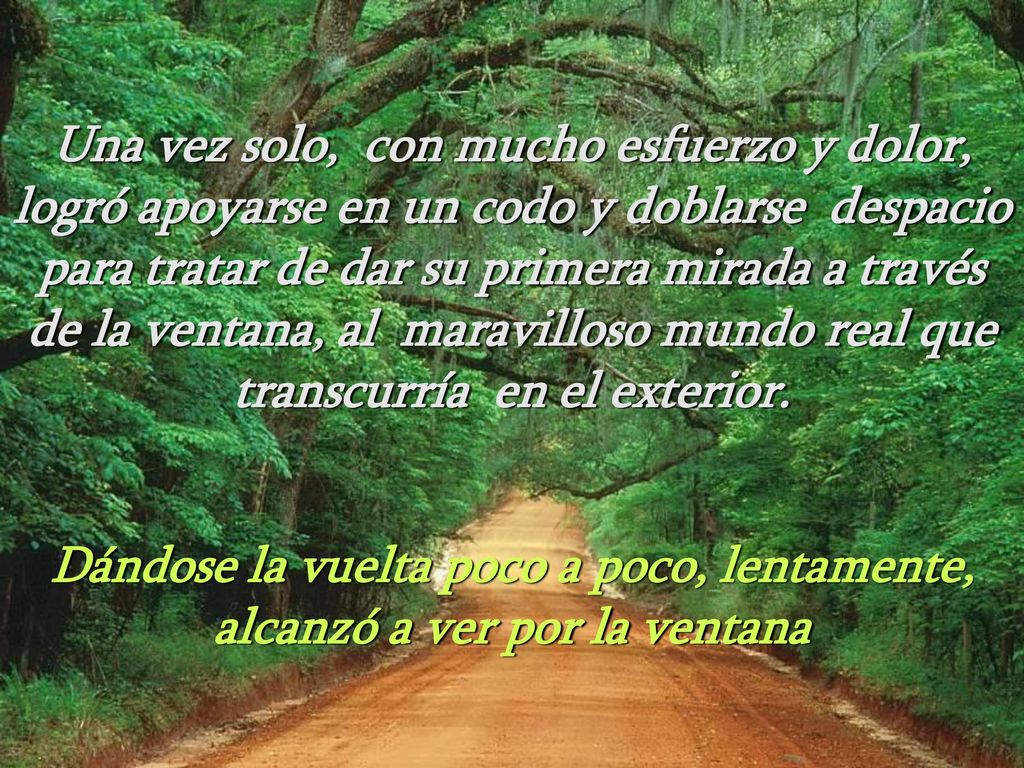 Una vez solo, con mucho esfuerzo y dolor, logró apoyarse en un codo y doblarse despacio para tratar de dar su primera mirada a través de la ventana, al maravilloso mundo real que transcurría en el exterior.