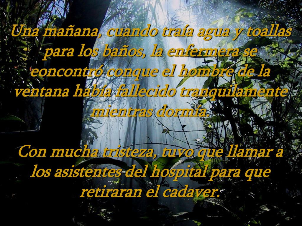 Una mañana, cuando traía agua y toallas para los baños, la enfermera se eoncontró conque el hombre de la ventana había fallecido tranquilamente mientras dormía.
