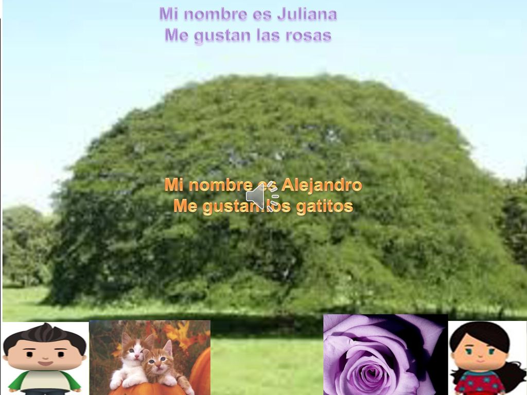 ¿Qué va a pasar aquí Mi nombre es Juliana Me gustan las rosas