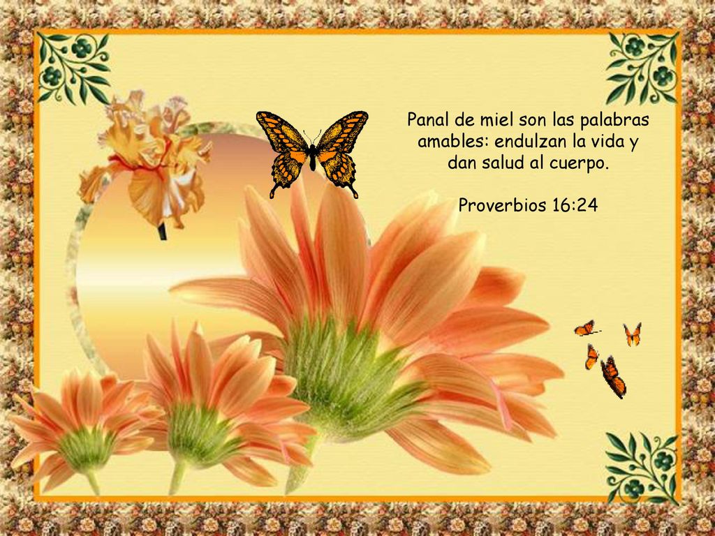 Panal de miel son las palabras amables: endulzan la vida y dan salud al cuerpo.