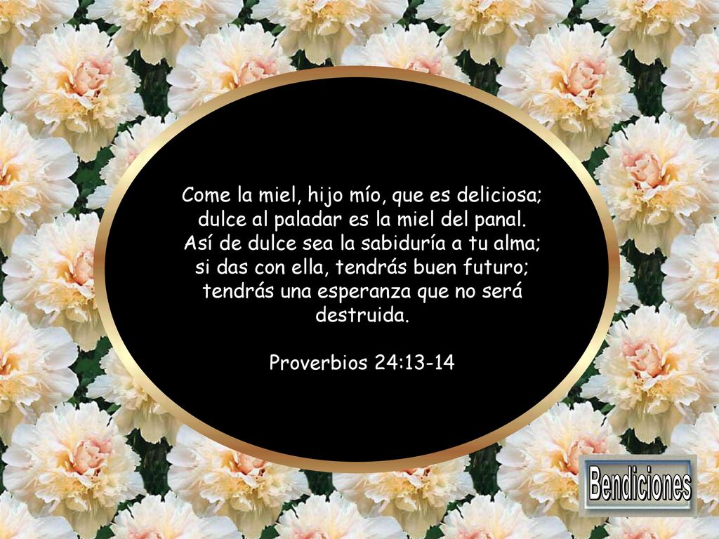 Come la miel, hijo mío, que es deliciosa; dulce al paladar es la miel del panal. Así de dulce sea la sabiduría a tu alma; si das con ella, tendrás buen futuro; tendrás una esperanza que no será destruida.