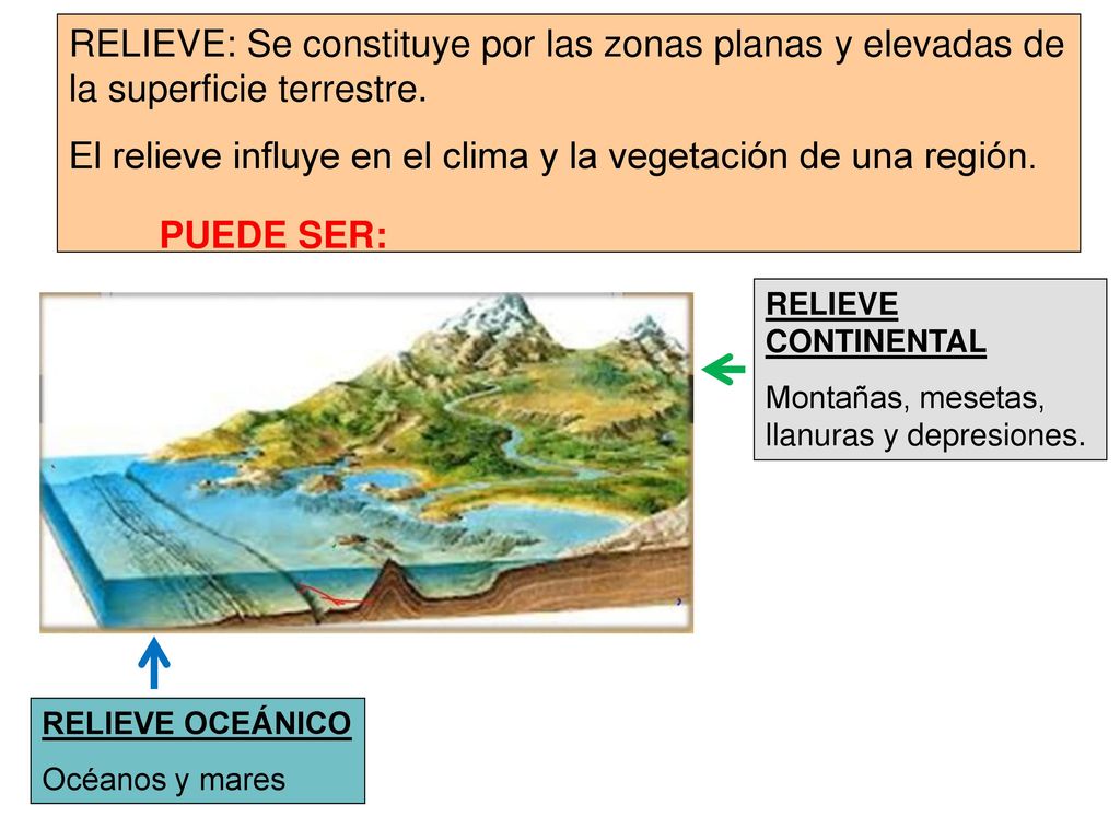 El relieve influye en el clima y la vegetación de una región.