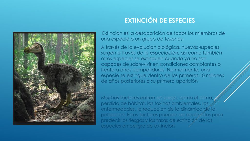 Extinción DE ESPECIES Extinción es la desaparición de todos los miembros de una especie o un grupo de taxones.