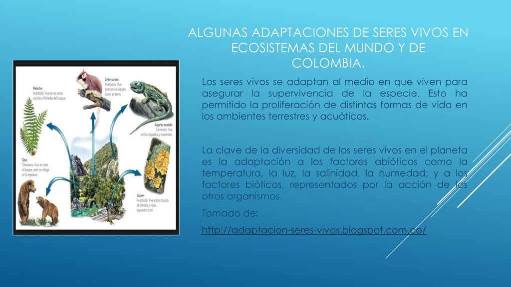 Algunas adaptaciones de seres vivos en ecosistemas del mundo y de Colombia.