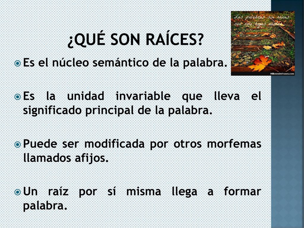 ¿Qué son raíces Es el núcleo semántico de la palabra.