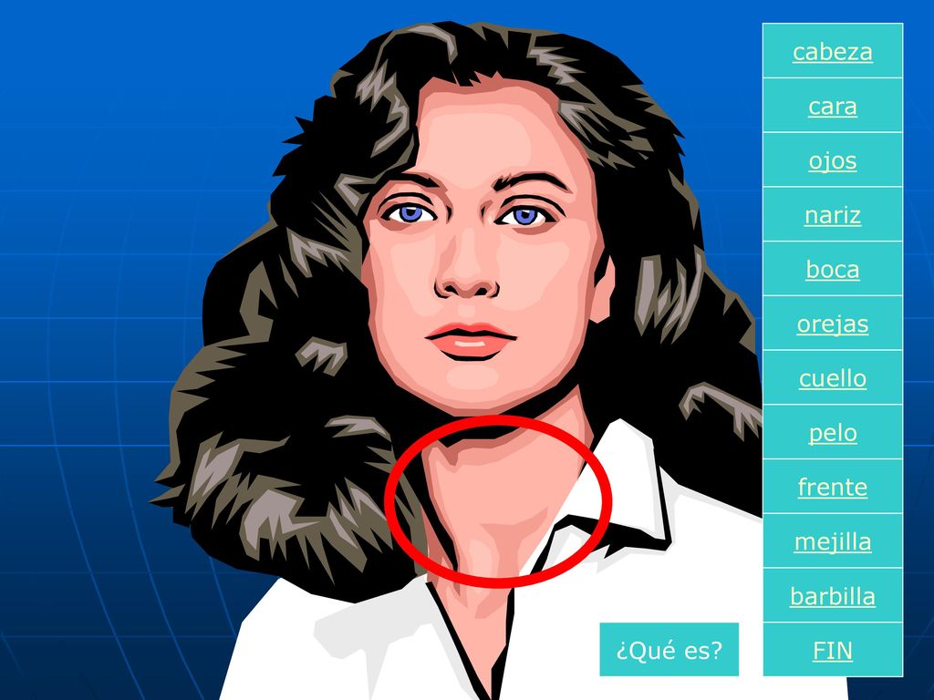 cabeza cara ojos nariz boca orejas cuello pelo frente mejilla barbilla ¿Qué es FIN