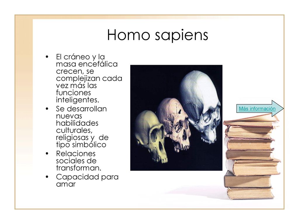 Homo sapiens El cráneo y la masa encefálica crecen, se complejizan cada vez más las funciones inteligentes.