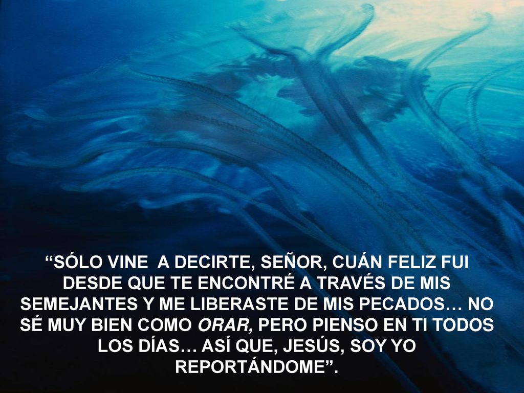 SÓLO VINE A DECIRTE, SEÑOR, CUÁN FELIZ FUI DESDE QUE TE ENCONTRÉ A TRAVÉS DE MIS SEMEJANTES Y ME LIBERASTE DE MIS PECADOS… NO SÉ MUY BIEN COMO ORAR, PERO PIENSO EN TI TODOS LOS DÍAS… ASÍ QUE, JESÚS, SOY YO REPORTÁNDOME .