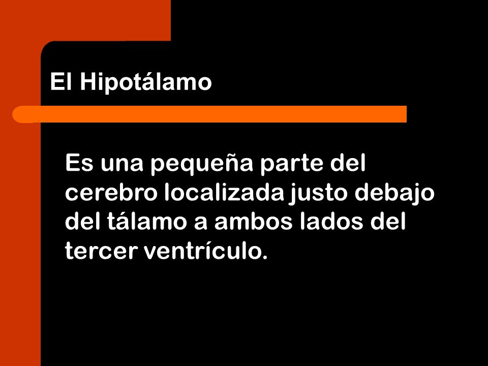 El Hipotálamo Es una pequeña parte del cerebro localizada justo debajo del tálamo a ambos lados del tercer ventrículo.