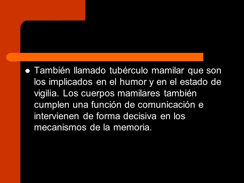 También llamado tubérculo mamilar que son los implicados en el humor y en el estado de vigilia.