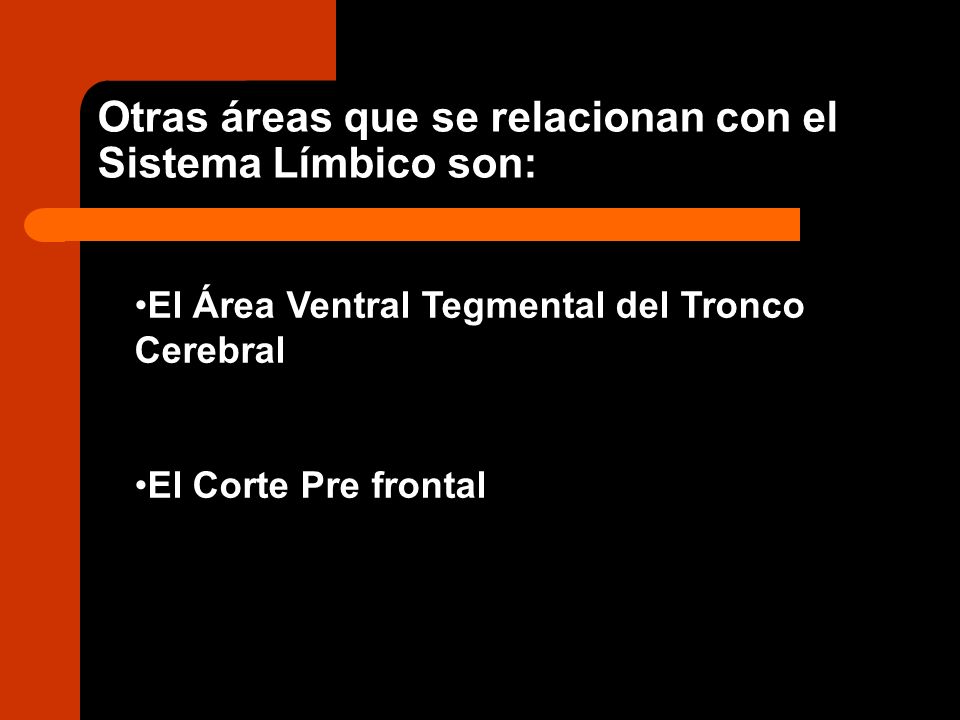 Otras áreas que se relacionan con el Sistema Límbico son:
