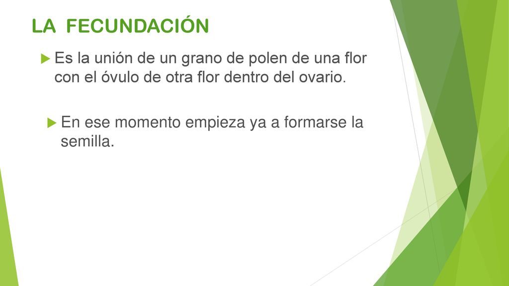 LA FECUNDACIÓN Es la unión de un grano de polen de una flor con el óvulo de otra flor dentro del ovario.