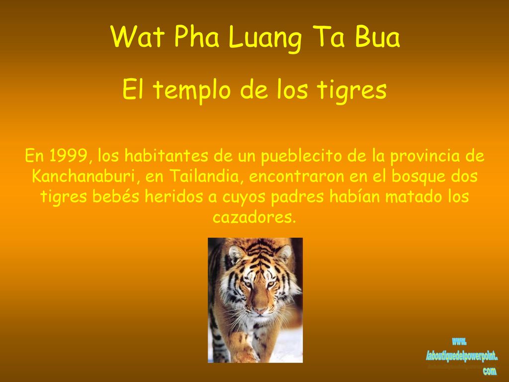 Wat Pha Luang Ta Bua El templo de los tigres