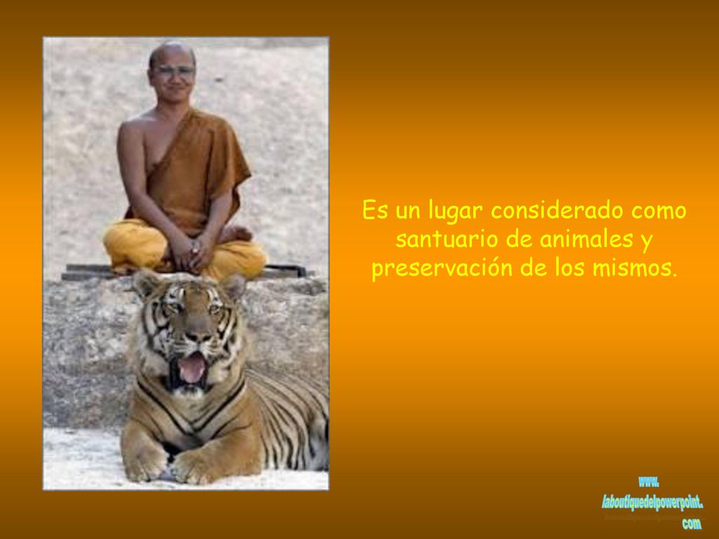 Es un lugar considerado como santuario de animales y preservación de los mismos.